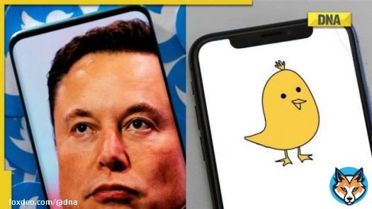 Indian Twitter alternative #Koo offers to hire employees fired by new boss #ElonMusk  #TwitterTakeover | #Twitter