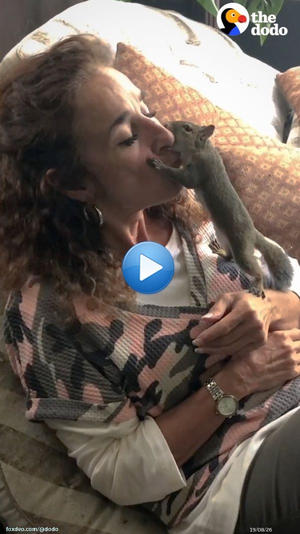 Woman rescues a baby squirrel &mdash; and 4 years later, he still comes back every day for kisses on her porch