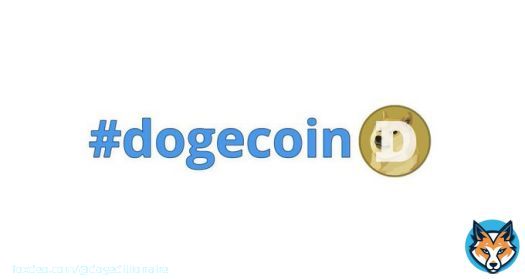 I keep typing out #dogecoin but no hashflag pops up like it does for #Bitcoin   @elonmusk can you look into this