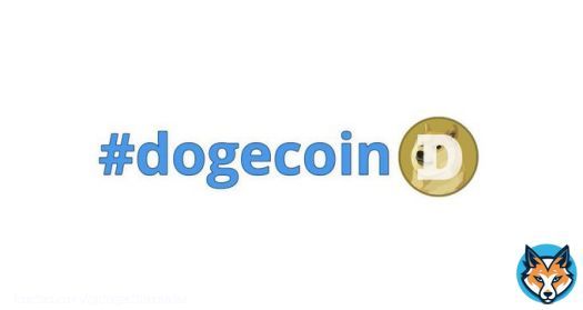 I keep typing out #dogecoin but no hashflag pops up like it does for #Bitcoin   @elonmusk can you look into this