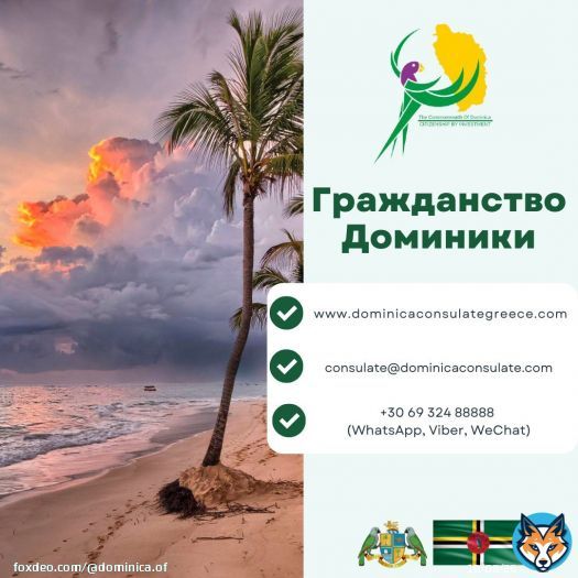 #доминика #карибы #остров #гражданство #иммиграция #недвижимость #бизнес #инвестиции #путешествие #паспорт #виза #россия #москва #санктпетербург #сочи #краснодар #ростов #новосибирск #екатеринбург #природа #russia #moscow #dominica #nature #island #ttot #citizenshipbyinvestment