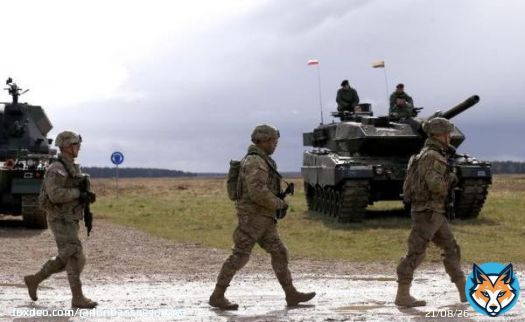 Польша приступает к созданию хаба по обслуживанию украинских танков Leopard, запчасти к которым в дефиците и не производятся уже 20 лет &mdash; министр национальной обороны Польши Мариуш Блащак.