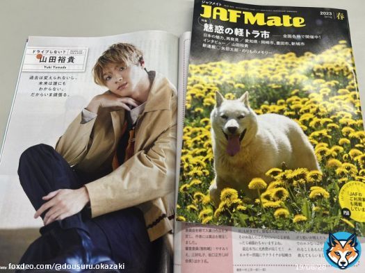 2023年春号のJAFメイトは、#永久保存版 ですね。 山田裕貴さんと家康公ゆかりの岡崎市、豊田市、新城市が同じ冊子に！ #山田裕貴 さん #どうする家康 #岡崎市