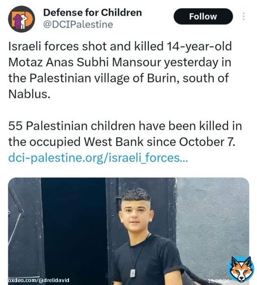 &ldquo;Israel  killed a 14 year-old boy&rdquo;  What they say:            What they hide: