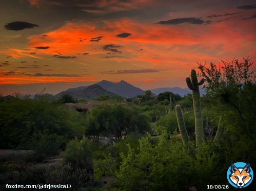 Forever chasing that sunset    by me   #sunset #naturephotography #desertvibes #arizona