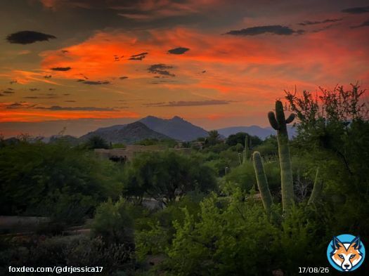Forever chasing that sunset    by me   #sunset #naturephotography #desertvibes #arizona