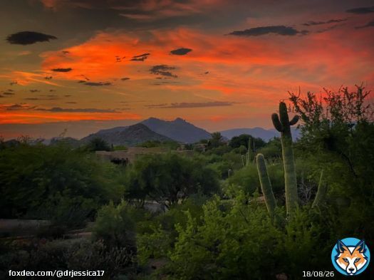 Forever chasing that sunset    by me   #sunset #naturephotography #desertvibes #arizona