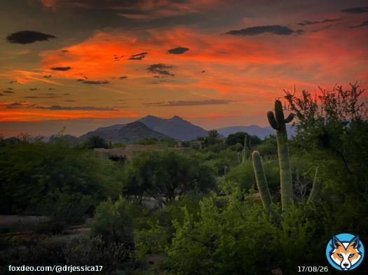 Forever chasing that sunset    by me   #sunset #naturephotography #desertvibes #arizona