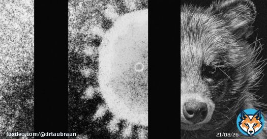 Tell me about the water and sewage &ldquo;And the virus&rsquo;s genetic material was found in many samples swabbed from carts and animal-processing equipment at the venue, as well as parts of nearby infrastructure, such as storehouses, sewage wells, and water drains.&rdquo;