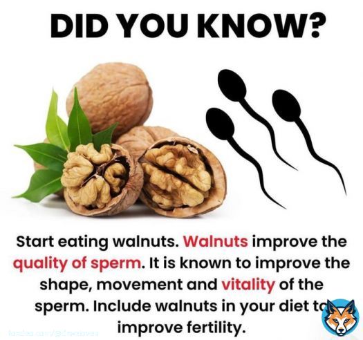 HEALTH BENEFITS OF WALNUTS  <br>1. STRENGTHENS BONES  <br>2. HEART-FRIENDLY  <br>3. AIDS IN WEIGHT LOSS  <br>4. LOADED WITH ANTIOXIDANTS  <br>5. IMPROVES DIGESTION  <br>6. IMPROVES SLEEP  <br>7. ENHANCES MOOD  <br>8. IMPROVES IMMUNITY  <br>9. REGULATES BLOOD PRESSURE  10, GOOD FOR SKIN<br>11. ANTI-INFLAMMATORY&hellip;Show more