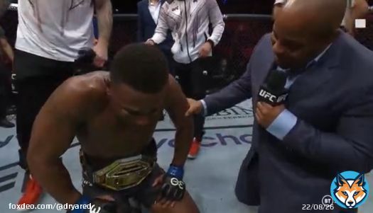 UFC 283 in a nutshell. #ufc283 amazing