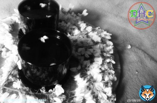There is nothing better than drinking tea from young petals together at the beginning of summer!  Just stop and look around.  Relax and get back to work with new energy!..  #чай #лето #tea #summer #petals #acacia #jasmine #break #bw #wb #photography #photo #黒白 #黒 #白 #お茶