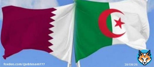 أكثر صورة تصلني ويكاد حسابي يتلون بها .. أُمــةٌ بـ همّــة .. شكرا لشعب المليون ونصف مليون شهيد  لن ننسى تلك الوقفة العظيمة منكم رغم إقصاء منتخب محاربي الصحراء عن #مونديال_قطر_2022 ولكنكم في النهاية حاضرون  #مونديال_قطر2022  #انا_عربي_وادعم_قطر  #حياكم_قطر #كأس_العالم_قطر_2022