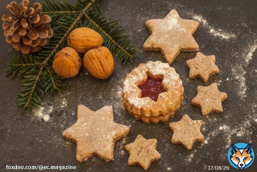 With #Christmas approaching, we've updated our #PalmOil free guide to Christmas food so you can buy mince pies, chocolates, biscuits and Christmas puddings from companies that only use #SustainablePalmOil options: