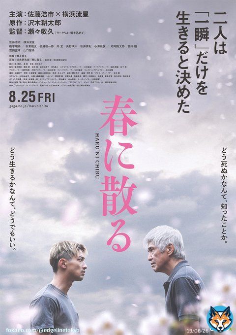 佐藤浩市＆横浜流星W主演『春に散る』公開8月に！特報＆ティザーも   2人の覚悟がコピーに #春に散る #佐藤浩市 #横浜流星 #山口智子 #橋本環奈 #哀川翔 #片岡鶴太郎 #坂東龍汰 #窪田正孝 #松浦慎一郎 #尚玄 #奥野瑛太 #坂井真紀 #小澤征悦