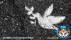 Accusing Israel of 'Apartheid' is malicious lie. In Israel you can see #Jews, #Arabs, #Druze and other minorities living side by side. You don't see Jews in Palestinian areas or in Gaza (unless they are held as hostages). So where is the real aparthetheid? [No #IsraeliApartheid]