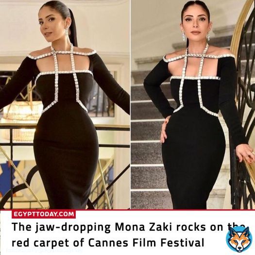 The jaw-dropping Mona Zaki rocks on the red carpet of Cannes Film Festival.  #Cannes2022 #Cannes #CannesFilmFestival #Cannes75 @monazaki  | #مصر #منى_زكي