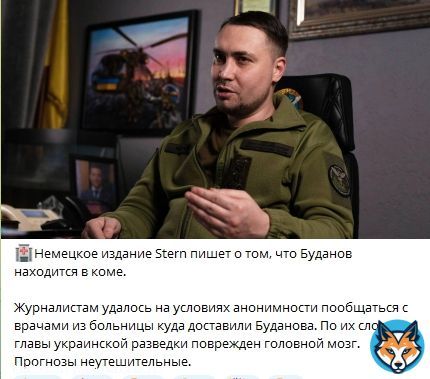 Гнида заявил, что руководитель украинской военной разведки Кирилл Буданов в пятницу присутствовал на заседании военного кабинета.  А вот немецкое издание Stern сообщает, что никак не мог