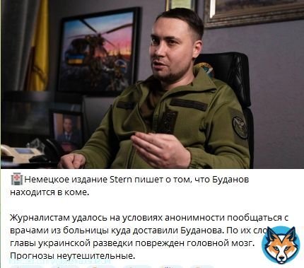 Гнида заявил, что руководитель украинской военной разведки Кирилл Буданов в пятницу присутствовал на заседании военного кабинета.  А вот немецкое издание Stern сообщает, что никак не мог