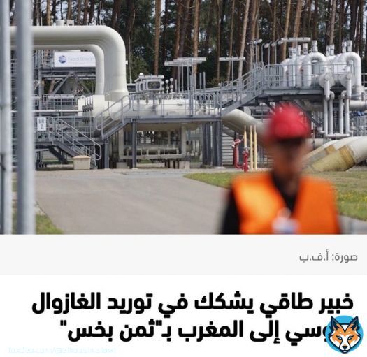 صباح الخير اوتيسير اوحكايات علي بابا والأربعون حرامي اوصحابو لي كيهضرو بلوفغونسي خدامين بسكريبت الفرنسي صباح مساء في تفقير المواطن المغربي المغلوب على امره مجرد ندوات وتبريرات وكلام لايغني ولايسمن من جوع #حكومة_العار #اخنوش_إرحل #لا_لغلاء_الاسعار_في_المغرب #خدام_مامةفرنسا