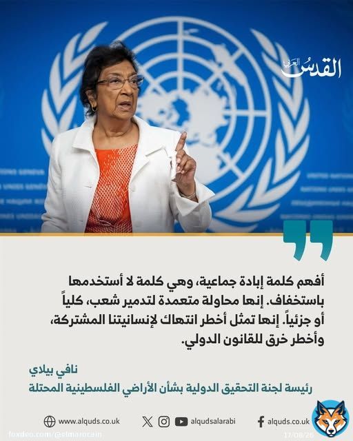 "استنتاج صارخ" للمسؤولة الأممية نافي بيلاي حول ارتكاب إسرائيل لإبادة جماعية في غزة #الإبادة_الجماعية #غزة