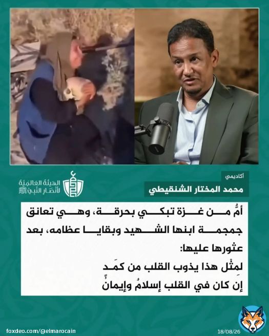 #غزة