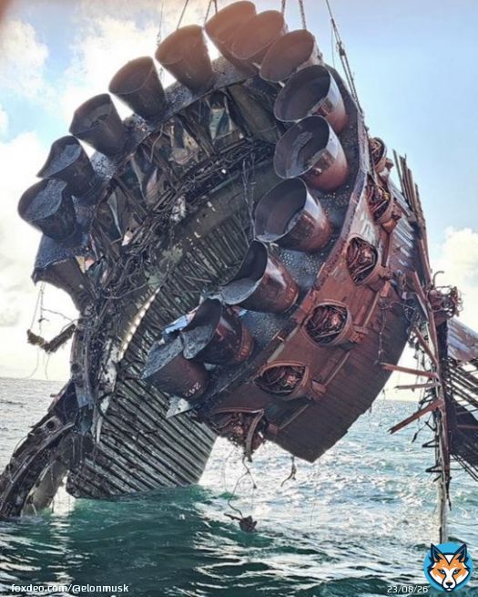 Starship Super Heavy Booster Flight 4