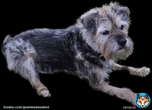 It's all gone a bit East 17 around here  Happy Holidays dear pals #BTPosse Hopes everyone in this special community has a lovely time, whatever the plans. If you are struggling hang in there Me, I'll be feeling smug I'm here. Best. Present. Ever. MumMum.