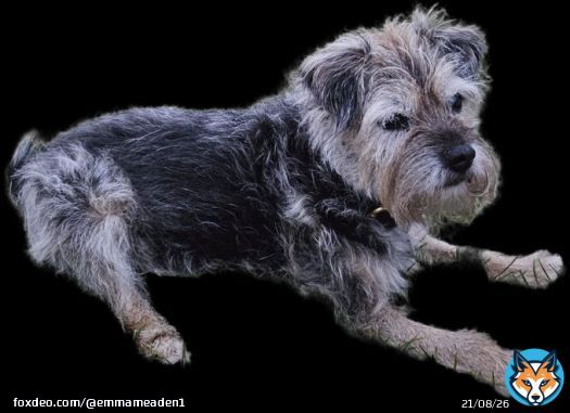 It's all gone a bit East 17 around here  Happy Holidays dear pals #BTPosse Hopes everyone in this special community has a lovely time, whatever the plans. If you are struggling hang in there Me, I'll be feeling smug I'm here. Best. Present. Ever. MumMum.