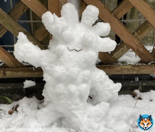 なんかできたシリーズ第2弾 #大雪警報 #東京 #奥多摩