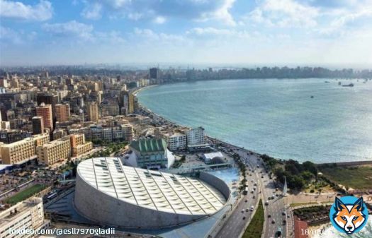 - لقطه رائعه لـ مناره المعرفه 'مكتبه #الأسكندريه' وعروس البحر المتوسط ..