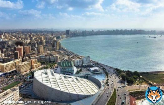 - لقطه رائعه لـ مناره المعرفه 'مكتبه #الأسكندريه' وعروس البحر المتوسط ..