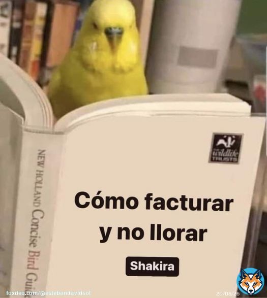 Mood: #shakira #clarachia #Pique #BizaShak