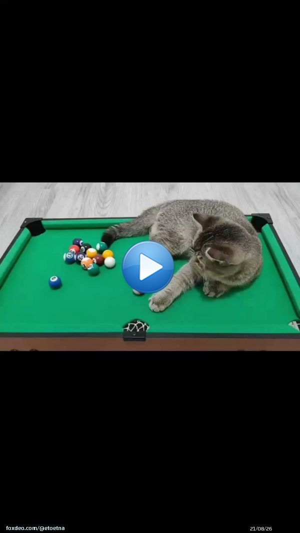 Победа!   from Ucat  Everytimewetouch (Dj后生版) от 盱眙后生