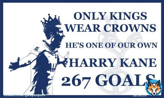 #HarryKane #267Goals #OneOfOurOwn #ShowTheFlagBilly @Billytheyid70