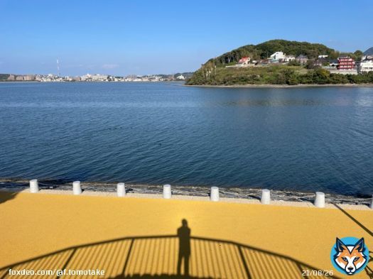 おはようございます 2/11(土)の朝 今日は建国記念日な のんびりデーなので ゆるゆる過ごします\u266a 写真はいつもの ウォーキングコース。 風が強くなければ 歩いてみようかな? 今日もお金モテな1日を お金は稼ぐものじゃなくモテるもの! リプは「お金大好き!」で\u266a #おは戦50211fd