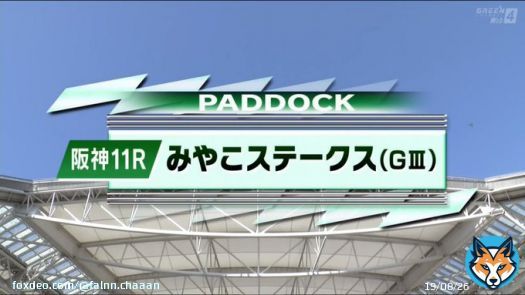 #みやこステークス パドックです  #オメガパフューム #メイショウフウジン ※ #ブリッツファング　※ ※ホッコータルマエ産駒  オメガさん、また白くなったような 頼みましたよ、、、