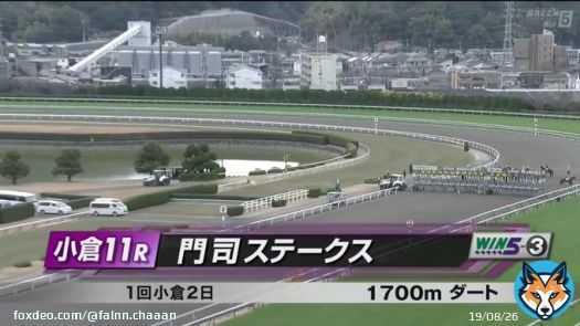 小倉１１R #門司ステーク  ホッコータルマエ産駒 ７ #ブリッツファング   外から良い脚を使って３着 また、次が楽しみですね\u266a