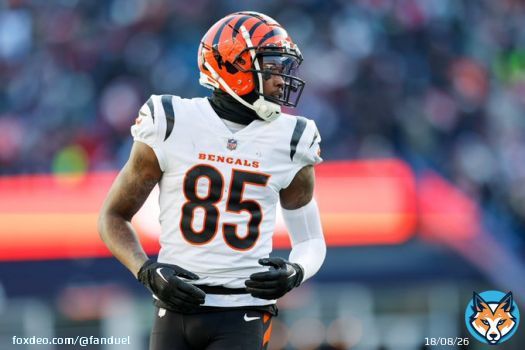 True or False?   Tee Higgins is a top-10 WR in the NFL.