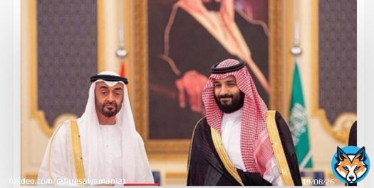 #السعودية_تودب_اولاد_زايد  ليس السقوط نهاية فسقوط المطر اجمل بداية هنا بدات عورة الدعاره التي مارسها بن زايد بدون ستار .  #فريق_مجاهدون