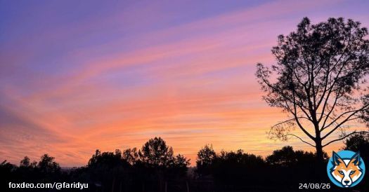 WBC。｜ダルビッシュ　有 @faridyu #note