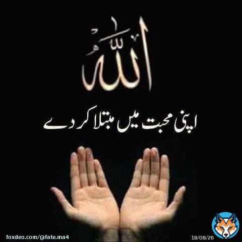 لَّا إِلَٰهَ إِلَّا أَنتَ سُبْحَانَكَ إِنِّي كُنتُ مِنَ الظَّالِمِينَ۔ اللہم آمین یارب العالمین  اللہ تعالیٰ ھمیں اپنی محبت میں مبتلا فرمائے آمین  #ليله_القدر_خير_من_الف_شهر  #خاتم_النبیین_محمّدﷺّ  #رمضان_كريم
