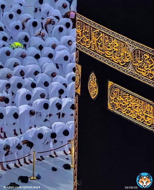 السلام علیکم ورحمتہ اللہ وبرکاتہ.  صبح بخیر سبحان اللہ وبحمدہ سبحان اللہ العظیم  #خاتم_النبیین_محمّدﷺّ