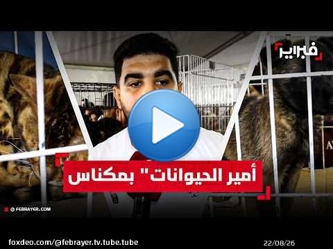 أندر الكلاب والقطط في 'سيام' مكناس