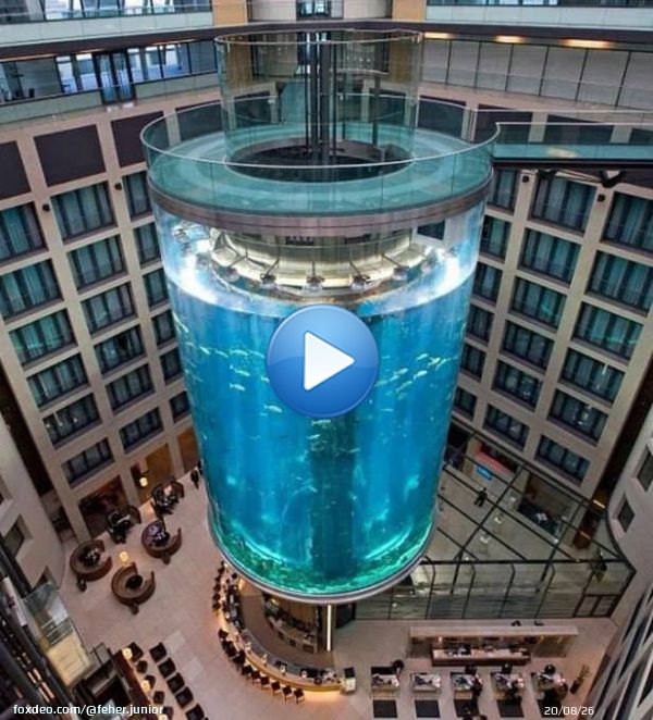 The famous aquarium in the #DomAquaree hotel in #Berlin burst About a million liters of water spilled out, in which 1,500 fish were swimming, and 2 people were injured. #Germania #Germany #