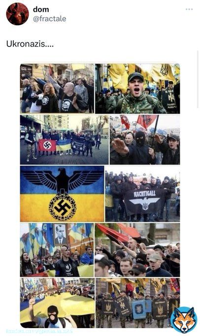 1/ #NAFO #Ukraine #USA #&Ouml;sterreich #Україна #Россия  In todays #BadVatnikPhotoshopSoup we take a look on what @fractale posted and we will dive into the characteristics.