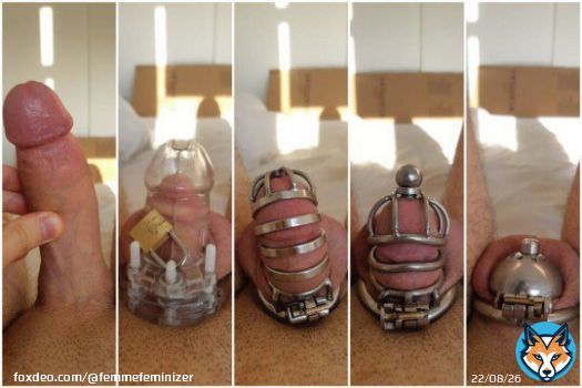 Which stage are you at?   This is a test   I've a doubt that my account is dead  500 Retweets, Can we get?