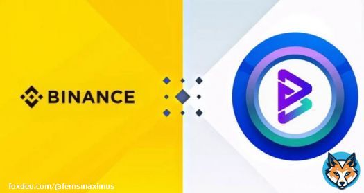Retweet if you want @binance to accept #BRISE #Bitcoin #Crypto