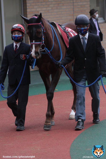 20230115 中京 日経新春杯 アフリカンゴールド 昨年と同じくここから始動 京都記念の逃げ切りは稍重、馬場も味方に付けて今年も一発を！