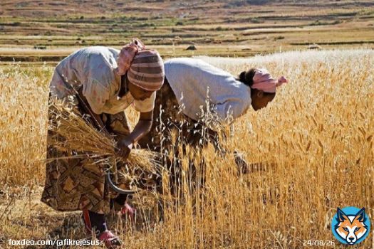 The backbone of our families, driver of our communities, and bedrock of the nation.  #SDGs #Equality